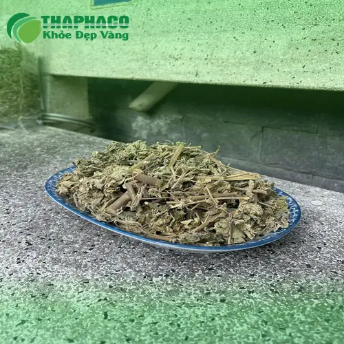 Hoa và quả cây cối xay khô, chuẩn bị chế biến trà
