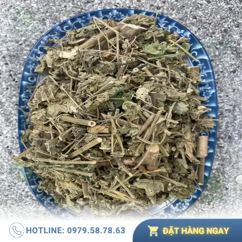 Trà cây cối xay sấy khô chất lượng, được đóng gói cẩn thận