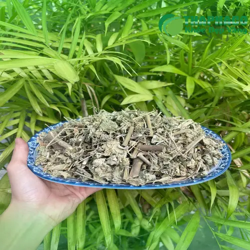 Lá và hoa của cây cối xay tươi