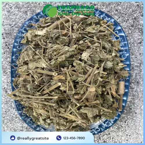 Quy trình phơi sấy cây cối xay của THAPHACO đảm bảo vệ sinh