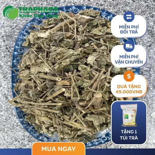 Hướng dẫn pha chế cây cối xay sấy khô thành trà