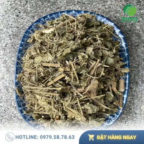 Sản phẩm cây cối xay sấy khô được đóng gói cẩn thận tại Trung Tâm Dược Liệu Sài Gòn