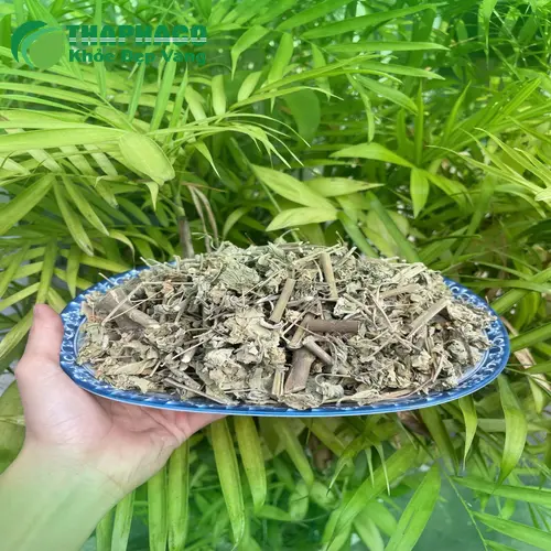 Bao bì sản phẩm cây cối xay của Thảo Dược THAPHACO, đóng gói sạch sẽ