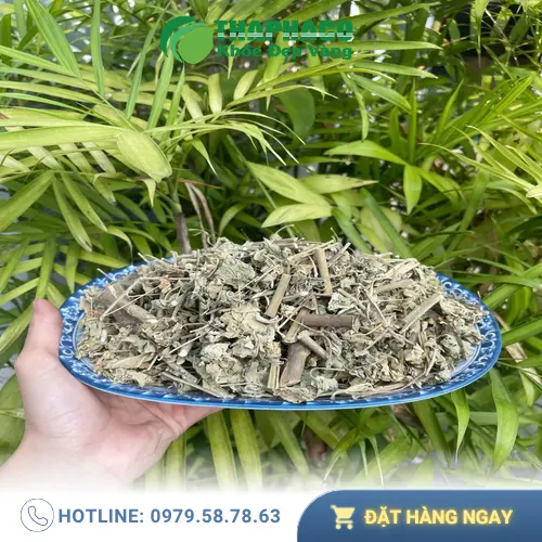 Bảo quản cây cối xay sấy khô trong túi kín
