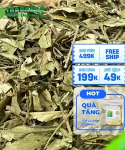 1kg Dây thìa canh giá bao nhiêu tiền? Bảng giá Thapaco