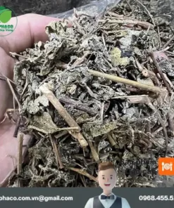 Chè Dây THAPHACO: Giải Pháp Dạ Dày An Toàn, Chất Lượng