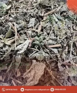 Chè Dây THAPHACO: Hướng Dẫn Sử Dụng & Bảo Quản Đúng Chuẩn Dược Sĩ