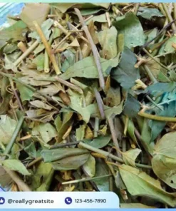 Chè Vằng THAPHACO: Tinh Hoa Dược Liệu Hỗ Trợ Sức Khỏe Toàn Diện