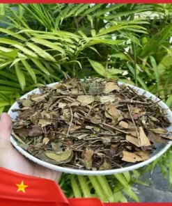 10kg Chè Vằng Giá Sỉ Tốt TP.HCM: Chất Lượng THAPHACO Chuẩn Kiểm Định