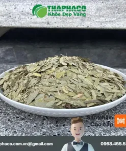Phan Tả Diệp THAPHACO: Mua 1 Tặng 1 – Kiểm Định Chất Lượng