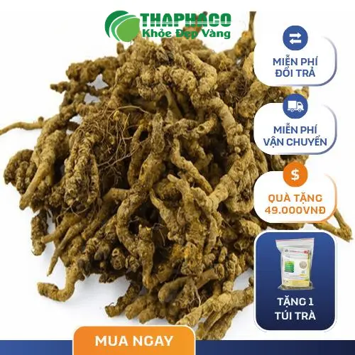 Hình ảnh tổng quan về Hoàng Liên và quy trình sơ chế