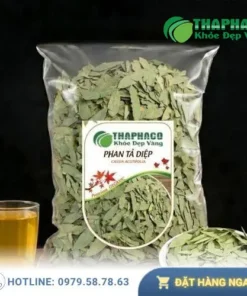Phan Tả Diệp Uy Tín TPHCM: Đánh Giá Chất Lượng & Hướng Dẫn Sử Dụng