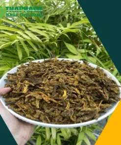 Hoàng Liên Sấy Khô THAPHACO: Chuẩn Chất Lượng, Giá Tốt
