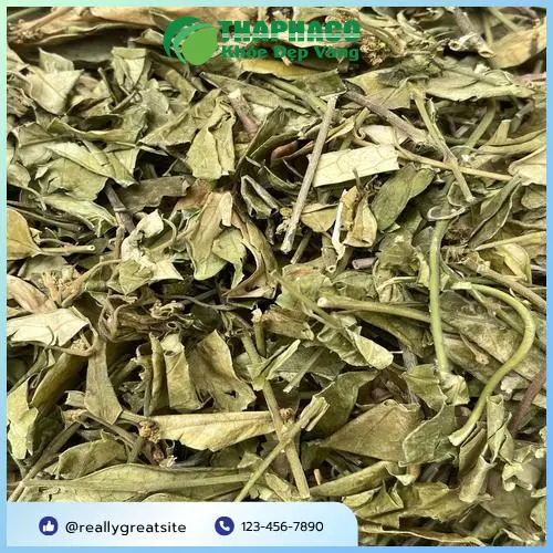 Dây Thìa Canh sấy khô ThaphaCo chất lượng cao