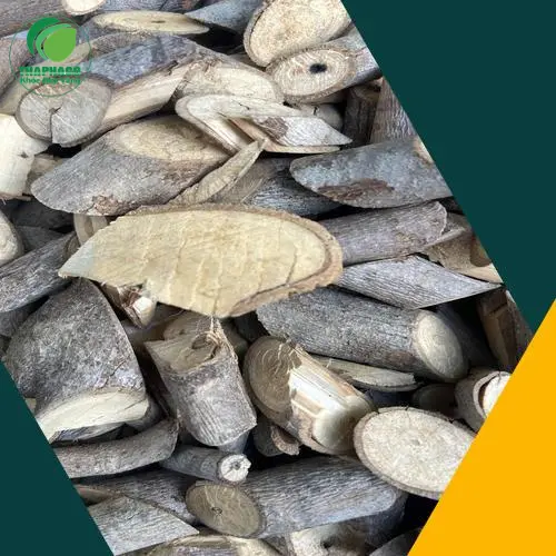 Cây An Xoa THAPHACO được kiểm định chất lượng nghiêm ngặt