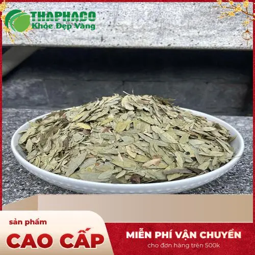 Phan Tả Diệp khô chất lượng