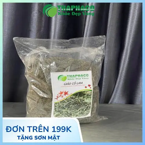 Giảo cổ lam là gì và lợi ích sức khỏe