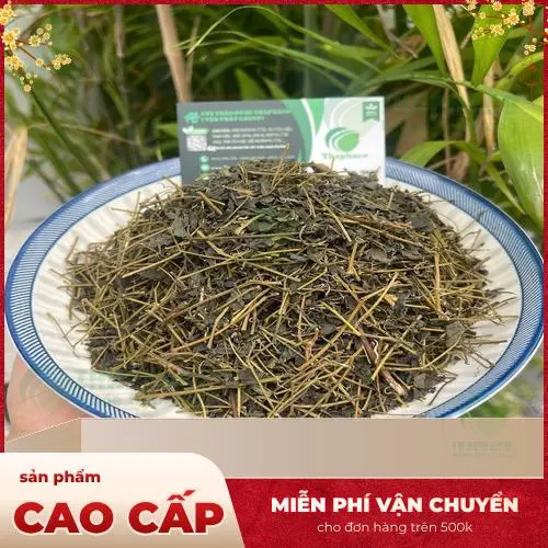 Hình ảnh lá và thân cây Giảo cổ lam tươi