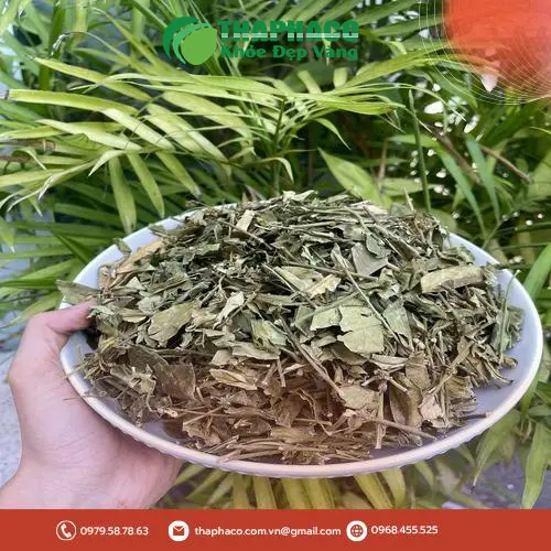 Quy trình sản xuất dây thìa canh sấy khô tại Thảo Dược THAPHACO