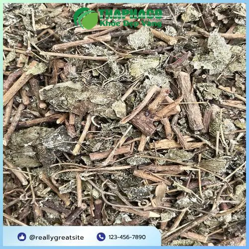 So sánh chất lượng Chè Dây THAPHACO và các sản phẩm khác