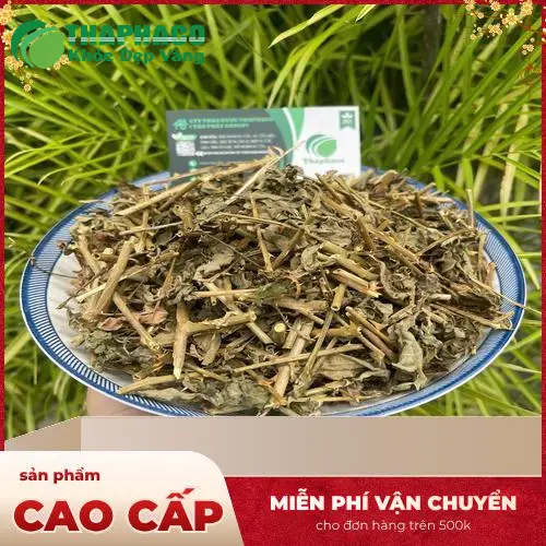 Sắc thuốc cà gai leo truyền thống Thaphaco