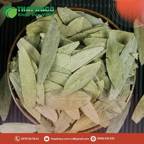 Phan Tả Diệp THAPHACO đã qua sơ chế