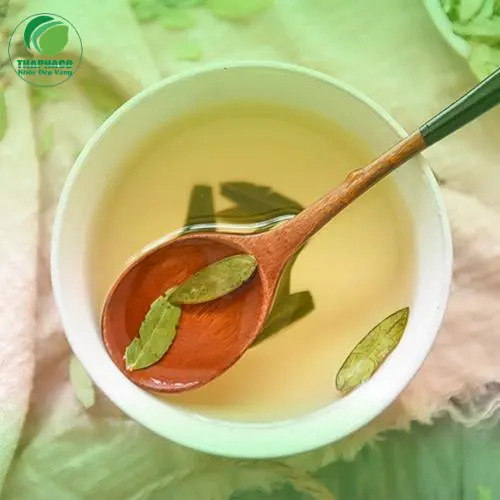 Hướng dẫn cách dùng Phan Tả Diệp hiệu quả và an toàn