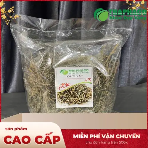 Công dụng giải độc gan của cà gai leo THAPHACO