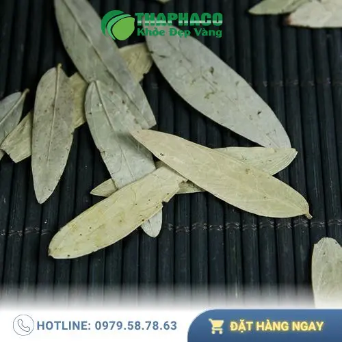 Phan Tả Diệp cần thận trọng khi dùng cho trẻ em