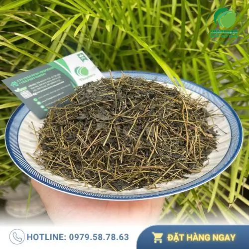 Cách dùng giảo cổ lam đúng liều lượng