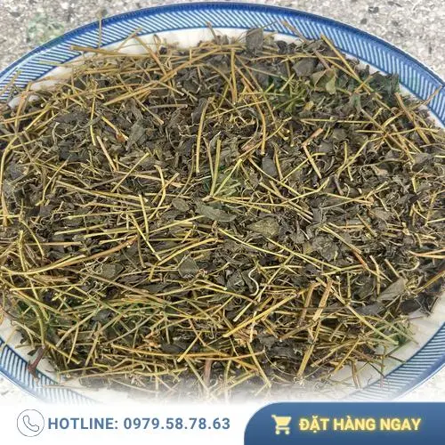 Pha chế giảo cổ lam đúng cách theo hướng dẫn để tối ưu hiệu quả và hương vị