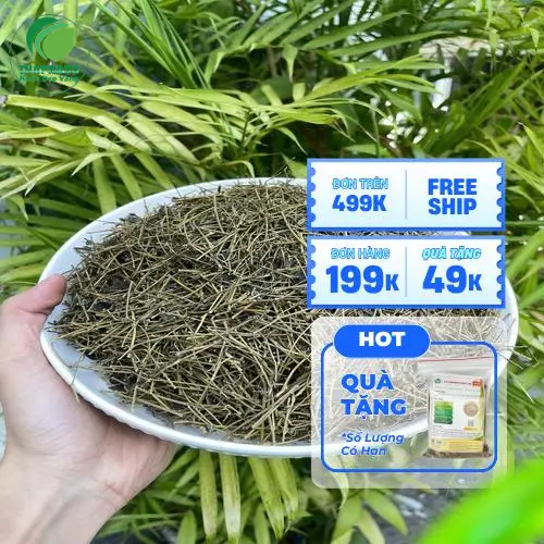Hình ảnh sản phẩm Giảo cổ lam khô đã được đóng gói cẩn thận