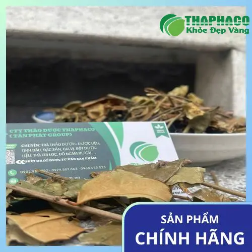 Phân tích khoa học về thành phần của chè vằng và tác động lên huyết áp