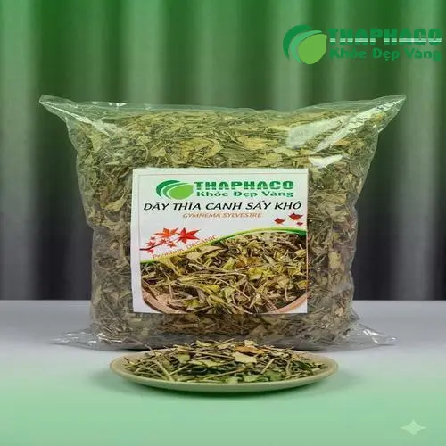 Chuyên gia dược liệu THAPHACO đang hướng dẫn sử dụng dây thìa canh