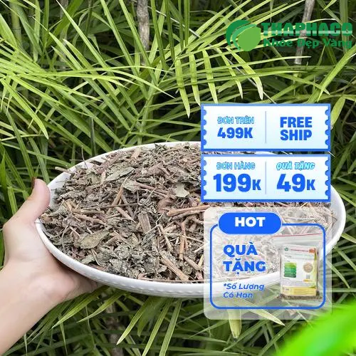 Ly chè dây đã pha, sẵn sàng để uống