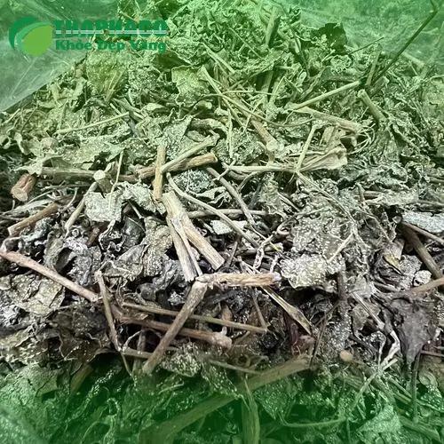 Địa chỉ mua Chè Dây THAPHACO tại TP.HCM