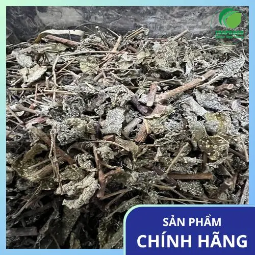 Hướng dẫn sử dụng chè dây THAPHACO hiệu quả