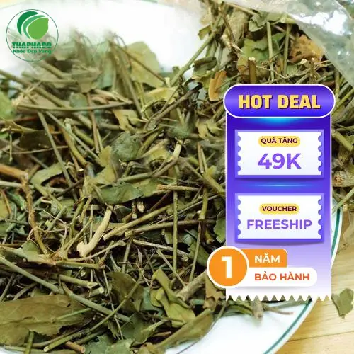 Chè Vằng THAPHACO giúp hỗ trợ lợi sữa, thanh nhiệt và giảm cân hiệu quả