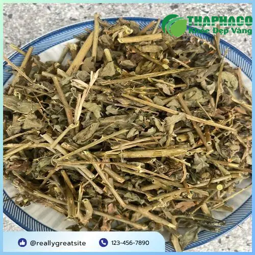 Kết hợp cà gai leo với thảo dược khác