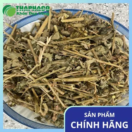 Sản phẩm cà gai leo khô đóng gói Thaphaco