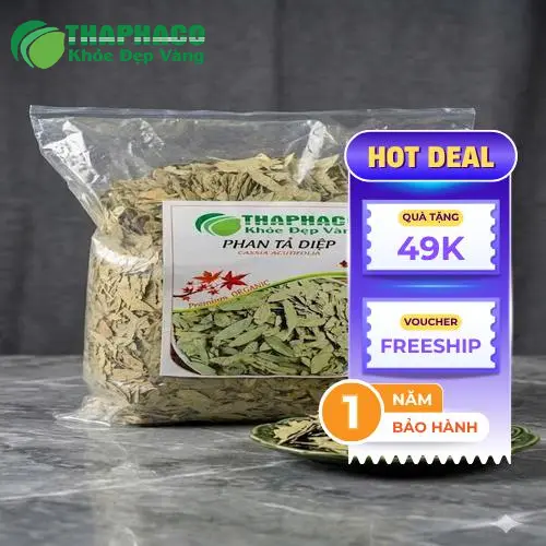 Bảo quản Phan Tả Diệp đúng cách để giữ dược tính