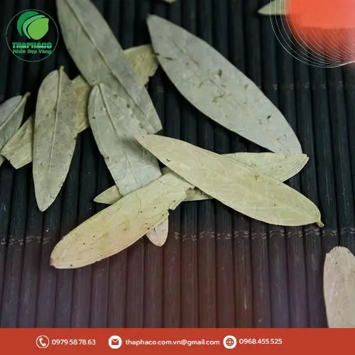 Phan Tả Diệp THAPHACO đóng gói đa dạng