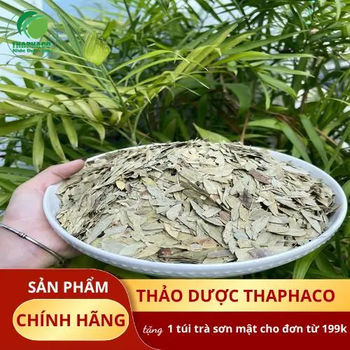 Dược sĩ tư vấn về Phan Tả Diệp cho trẻ