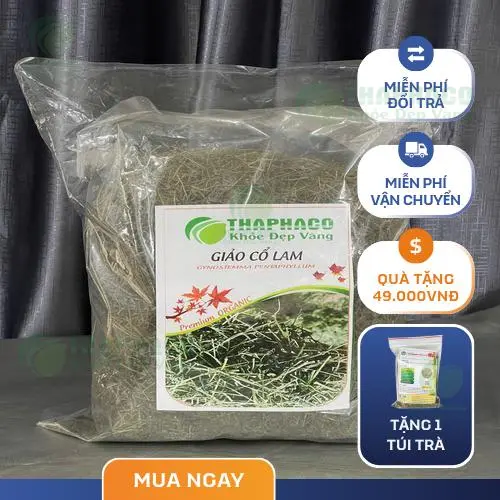 Giảo cổ lam chất lượng cao của THAPHACO