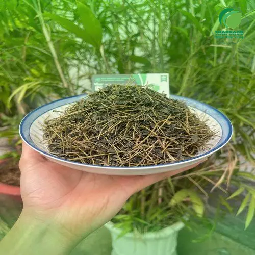 Quy trình kiểm soát chất lượng Giảo cổ lam tại THAPHACO