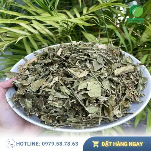 Gói dây thìa canh sấy khô 1kg của Thảo Dược THAPHACO