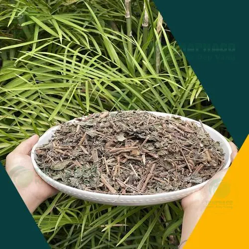 Gói chè dây khô THAPHACO chất lượng