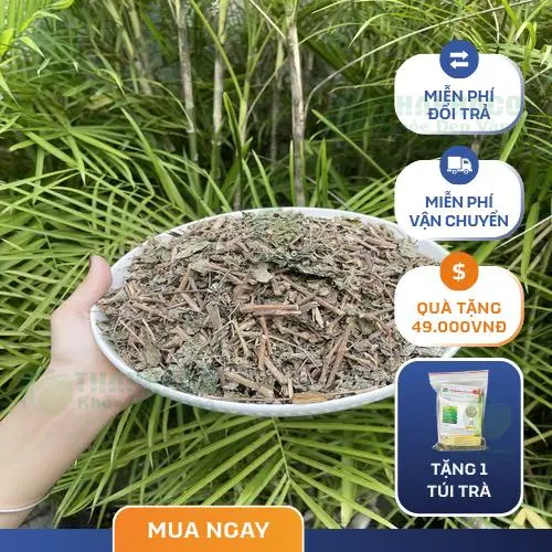 Chứng nhận chất lượng Chè Dây THAPHACO