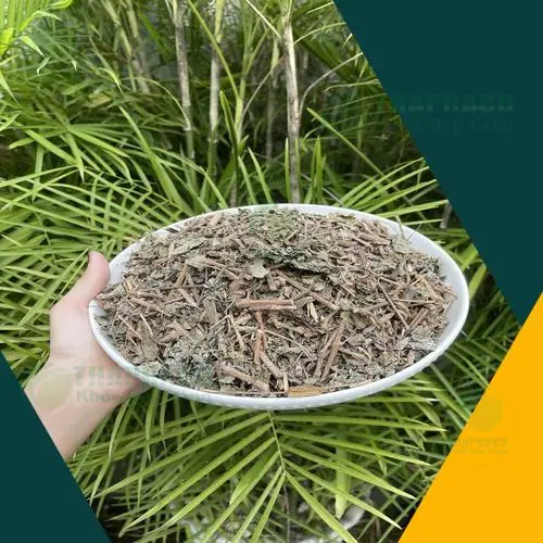 Sản phẩm chè dây THAPHACO đóng gói tiện lợi
