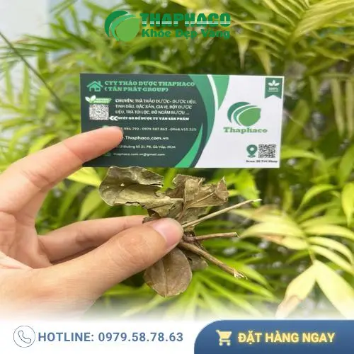 Chè vằng khô THAPHACO đóng gói tiện lợi